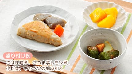 ③スプーンで簡単につぶせる「ムースやわらか宅配食」コース