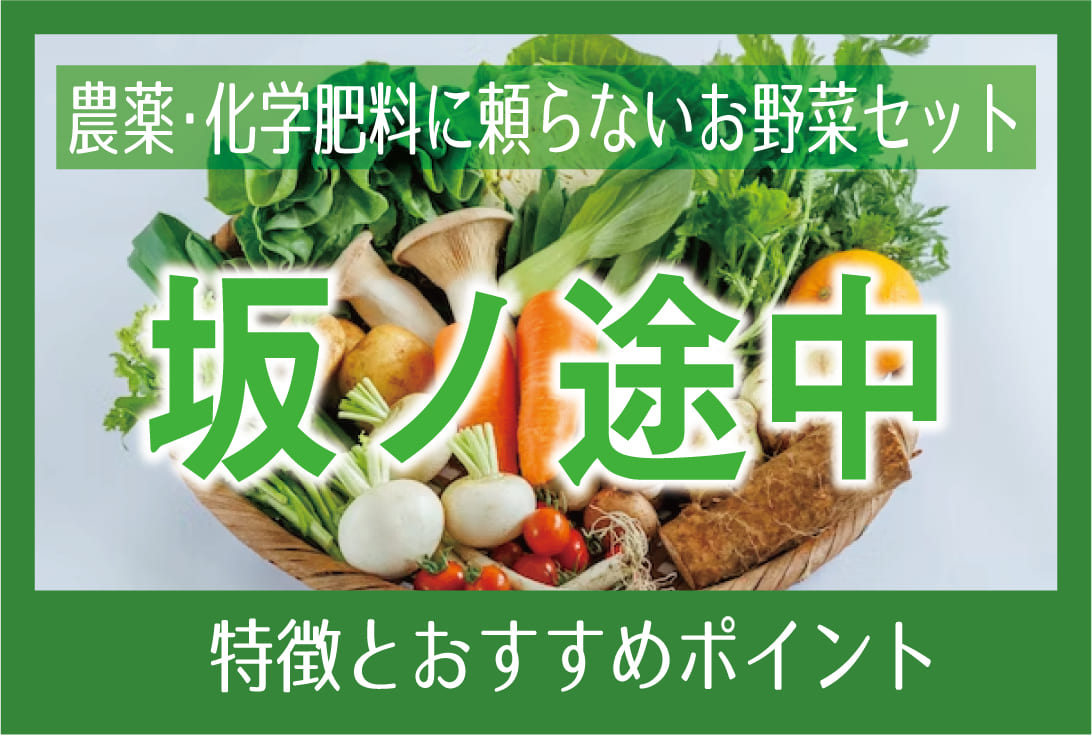 「坂ノ途中」の特徴とおすすめポイント／農薬・化学肥料に頼らない旬のお野菜セットをお届け！